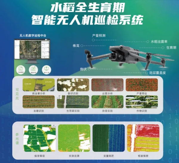 图片6_副本.png