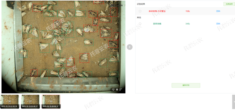 智能鉴别计数.png