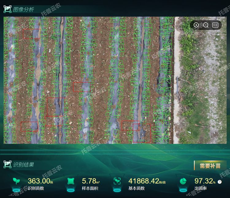 出，苗率.png